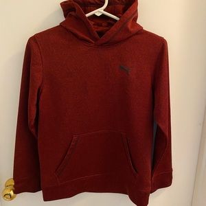 Puma/Youth Hooded Sweatshirt